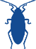 Cockroach Cockroach