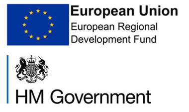 HM Government and European Union logo together