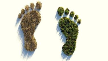 Carbon footprint